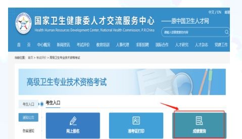 2023年河北衛(wèi)生系列高級(jí)專業(yè)技術(shù)資格實(shí)踐技能考試成績(jī)查詢通知——兼論信息技術(shù)咨詢服務(wù)與衛(wèi)生人才發(fā)展的協(xié)同效應(yīng)